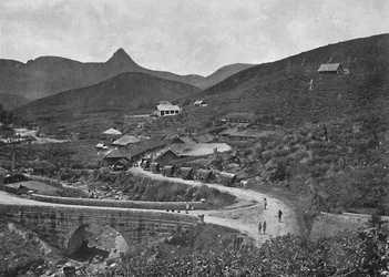 Plantación de té Adamspik y Brownlow, 1926