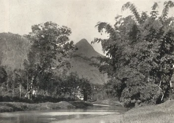 Adamspik von Gegend Maskeliya, 1926