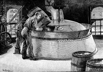 Añadiendo lúpulo a la cerveza hirviendo en una cervecería americana, 1885