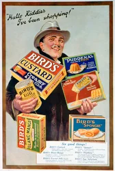 Anuncio de alimentos para aves, 1920