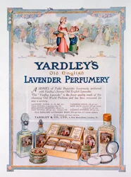 Anuncio de la perfumería Yardleys Old English Lavender, 1923