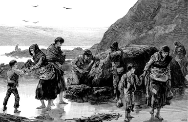 Secuelas de la hambruna, Irlanda 1840s, 1886