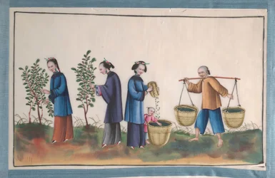 Álbum que contiene doce pinturas de personas haciendo seda, siglo XIX