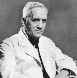 Alexander Fleming, bacteriólogo escocés, c1930s