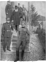 Alejandro Karadordevic, Regente de Serbia, Primera Guerra Mundial, 1915