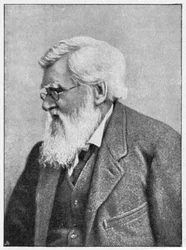 Alfred Russell Wallace, naturalista galés, c1895