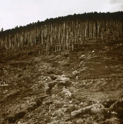 Alsacia, c1914-c1918
