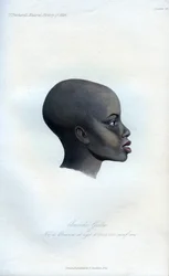 Amochi Galla, un retrato de un Galla, 1848
