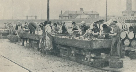 Una parte importante de la industria. Chicas escocesas ocupadas destripando en Yarmouth, 1937
