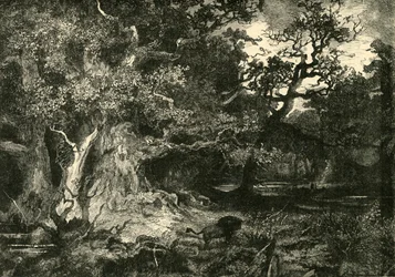 Un viejo bosque alemán, 1890