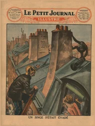 Un chimpancé escapado, 1930