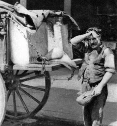 Un hombre del hielo con su carro, Londres, 1926-1927