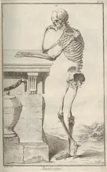 Anatomía. De la Encyclopédie de Denis Diderot y Jean Le Rond d