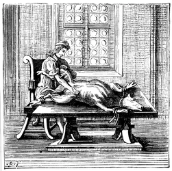 Transfusión de sangre de animal a humano, 1679