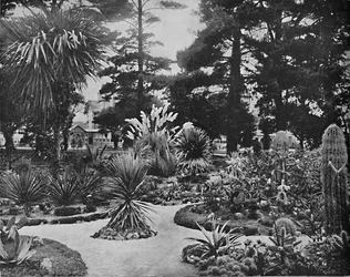 Jardín de Arizona. Monterey, Cal., c1897