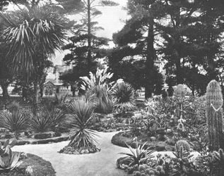 Jardín de Arizona, Monterey, California, EE.UU., c1900