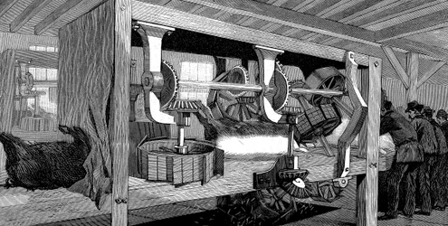 Matadero de cerdos de Armour Company, Chicago, Illinois, EE. UU., 1892