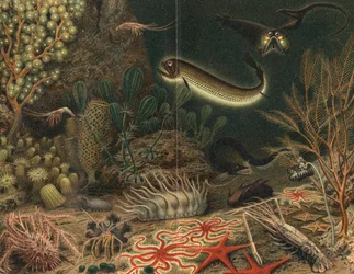 Impresión artística de escena submarina con peces luminosos, 1903