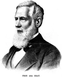Asa Gray, botánico estadounidense, 1888