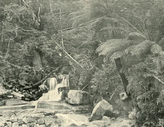 En el pozo de San Crispín