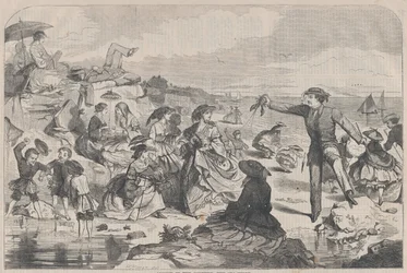 Agosto en el Campo - La Orilla del Mar Harper