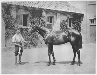 Estrella australiana, 1911