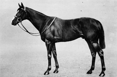 Doble de solteros, 1911
