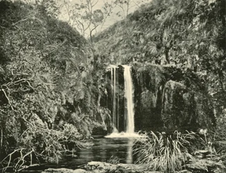 Cascadas de Back Creek, río Buchan, Victoria, 1901