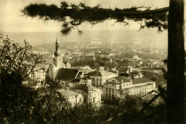 Baden bei Wien, Baja Austria