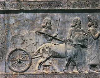 Bajorrelieve, arte persa, siglo VI