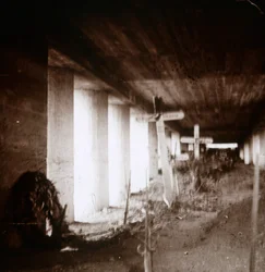 Trinchera de bayonetas, Verdún, norte de Francia, c1916-c1918