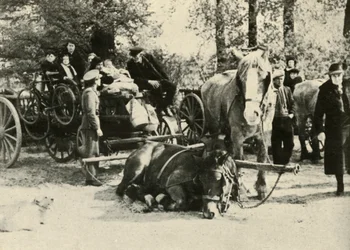 Refugiados belgas en el camino, 1939-1940, 1941