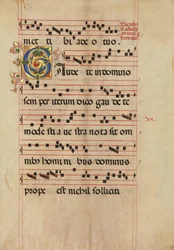 Bifolio con inicial foliado C, de un gradual, italiano, segunda mitad del siglo XV