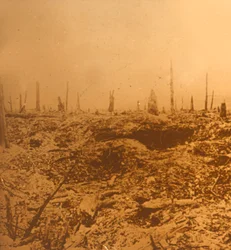 Bois du Chapitre, Vaux, norte de Francia, c1914-c1918
