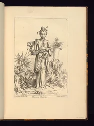 Botánico chino