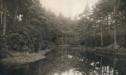 Branksome Chine y Lago, c1910