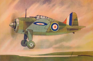 Caza Brewster Buffalo, c1944