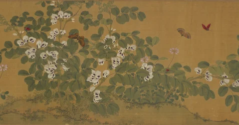 Flores de haba y mariposas