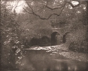 Arroyo y puente en el Nuevo Bosque, Hampshire, 1894