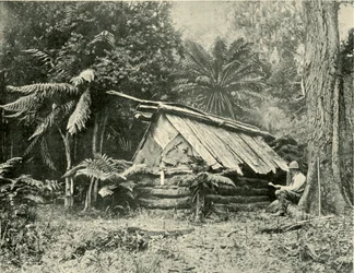 Cabaña en el monte, Dandenong Ranges, Victoria, 1901
