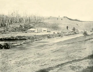 Casa del trabajador del monte, Gippsland, Victoria, 1901