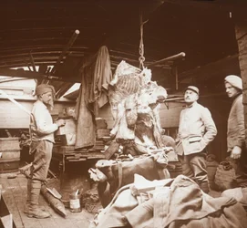 Carniceros en una barcaza, Somme, norte de Francia, c1914-c1918