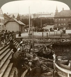 Comprando pescado en un puerto comercial ártico concurrido, Tromsoe 69° 38