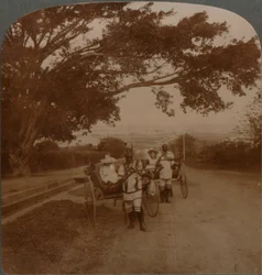 Carros tirados por nativos en una carretera residencial, Durban, Sudáfrica