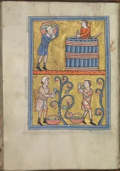 Calendario, septiembre, hombres recogiendo y pisando uvas - Salterio de Leonor de Aquitania (ca. 1185) - KB 76 F 13, folio 009v