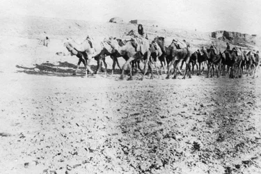 Caravana de camellos, Mosul, Mesopotamia, 1918