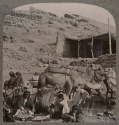 Caravana de camellos de Jerash, bebiendo en la Fuente de Elías, c. 1900