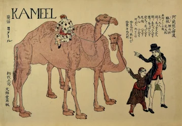 Camellos con cuidadores neerlandeses, ca. 1821.