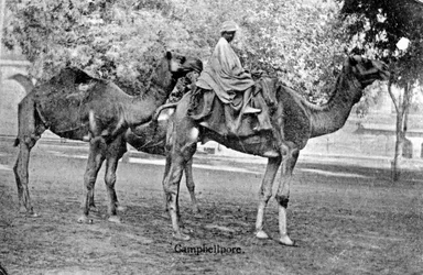 Campbellpore, Pakistán, siglo XX