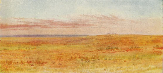 Pradera canadiense, 1924